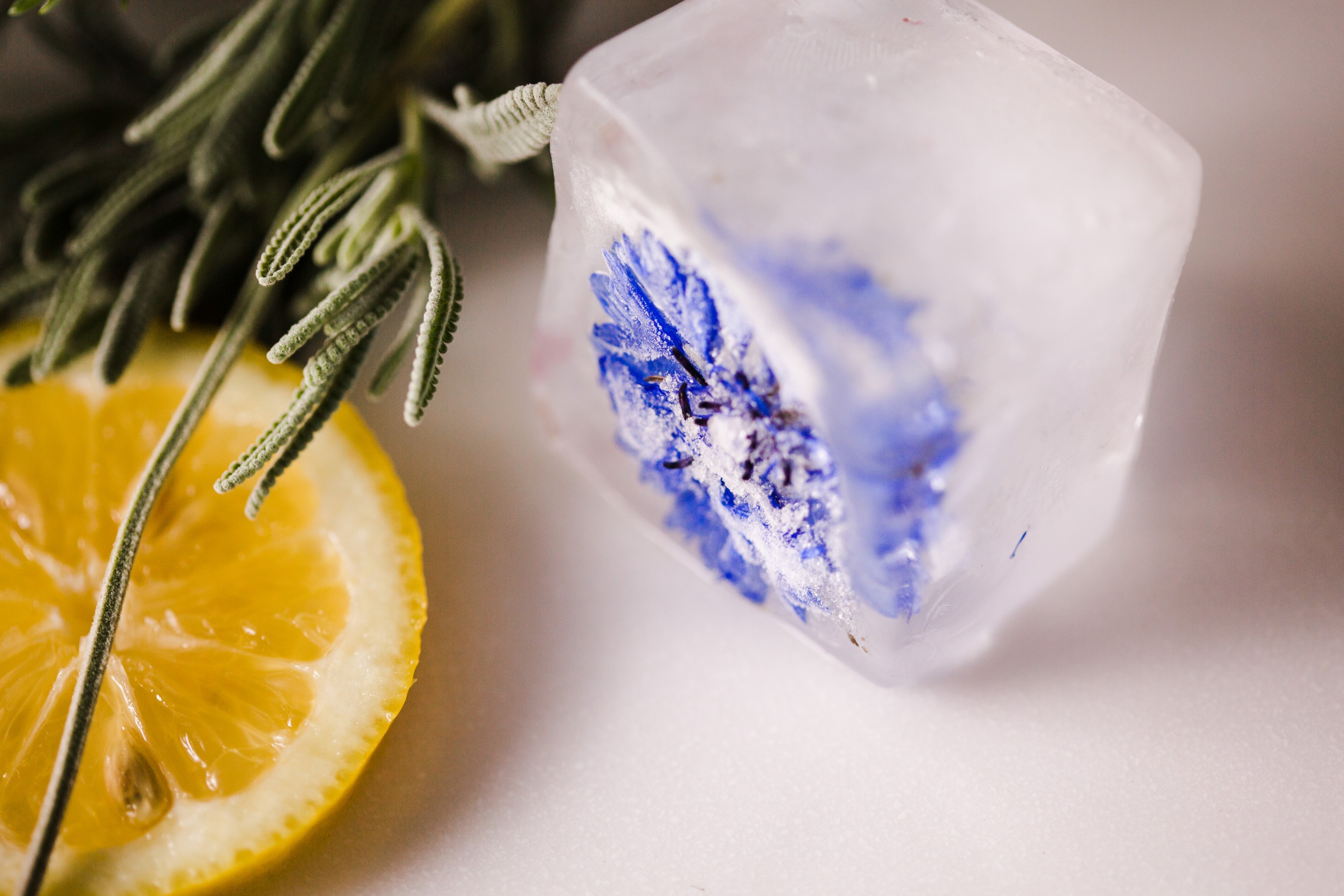 Exotic & Botanical… Let Us Introduce You to Our New Gin Menu -
